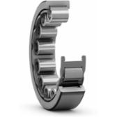 skf-rnu-205-srv-rnu-205