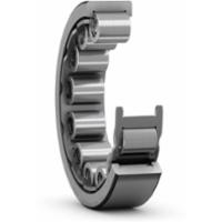 skf-rnu-205-srv-rnu-205