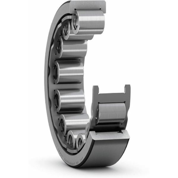 skf-rnu-205-srv-rnu-205