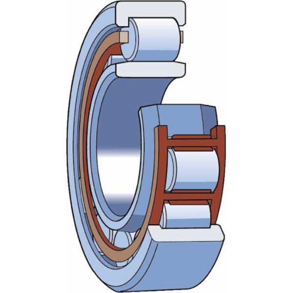 skf-nup-213-ecnrp-vm004-nup-213-ecnrp-vm004