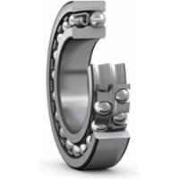 skf-1319-k-1319-k