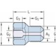 skf-1019950-1019950--2
