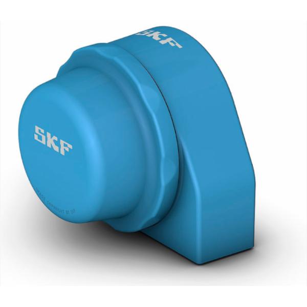 skf-p2btc-100-cpss-dfh-p2btc-100--cpss-dfh