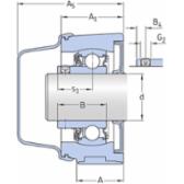 skf-p2btc-100-cpss-dfh-p2btc-100--cpss-dfh--2