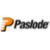 Categorie Paslode pneumatisch gereedschap