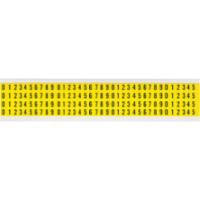 brady-034010-034010