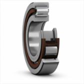 skf-nup-2211-ecp-c3-nup-2211-ecp-c3