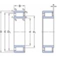 skf-ncf-2916-cv-ncf-2916-cv--2