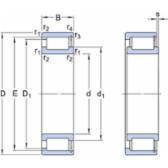 skf-ncf-2916-cv-ncf-2916-cv--2