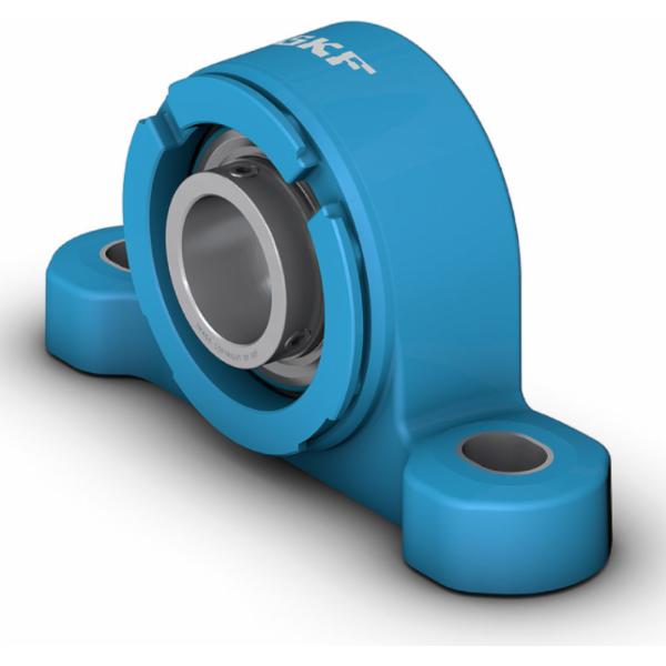 skf-p2bc-100-tpss-p2bc-100--tpss