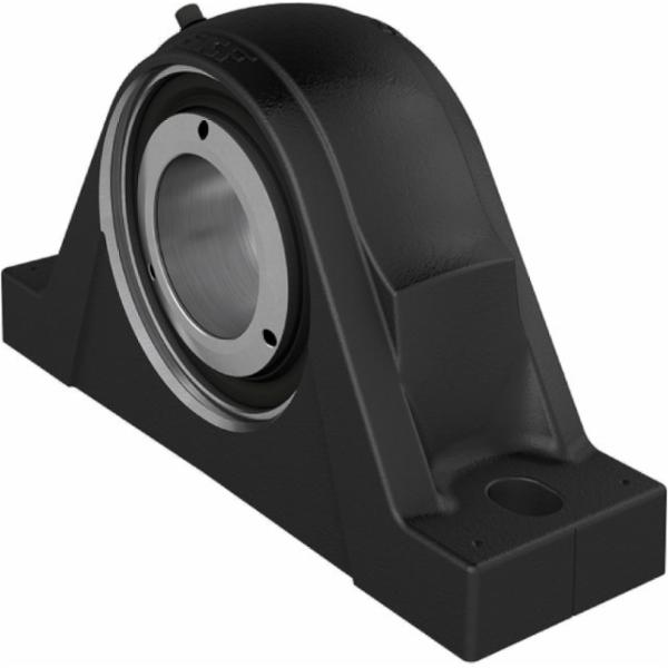 skf-synt-65-fts-synt-65-fts
