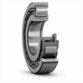 skf-nup-209-ecj-c3-nup-209-ecj-c3