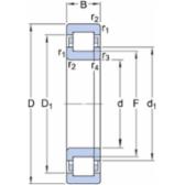 skf-nup-213-ecp-c3-nup-213-ecp-c3--2