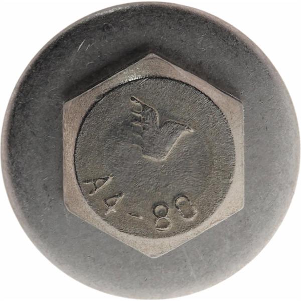 spit-triga-z-052940--5