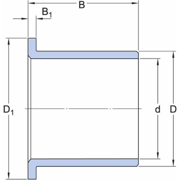 skf-ppmf-252821-5-ppmf-252821-5--2