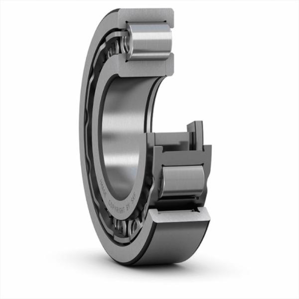 skf-nup-310-ecj-c3-nup-310-ecj-c3