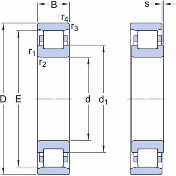 skf-n-221-ecp-n-221-ecp--2