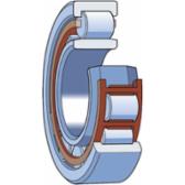 skf-nu-309-ecnp-c3-nu-309-ecnp-c3