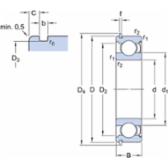 skf-6207-znr-6207--znr--2