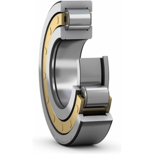 skf-nup-308-ecm-c3-nup-308-ecm-c3
