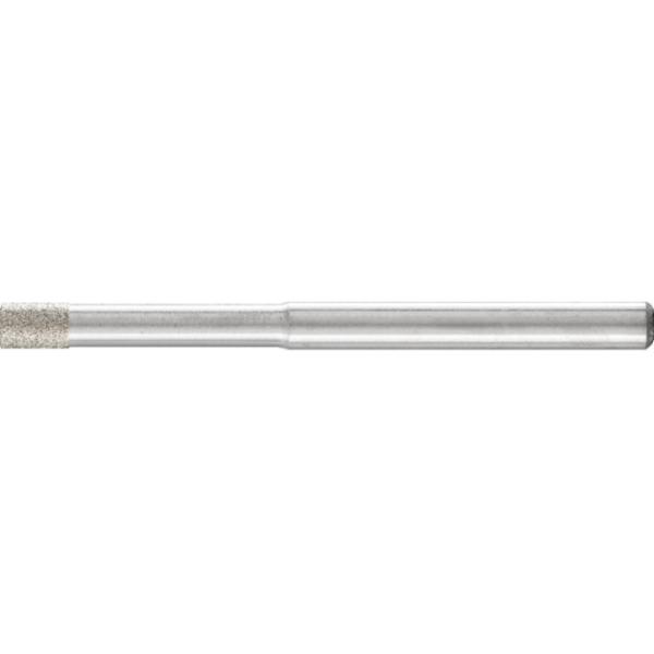 pferd-dzy-36002809